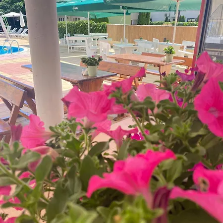 Mint Family Равда